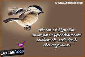 Life Quotes Facebook Wall Quotes Sweet Dream Quotes Good Night Quotes Good Morning Image Quotes