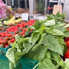 Image result for Roman Green 1929 Nash