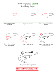 Free drawing tutorials for beginners i loved drawing the alphabetimals, and now i'd like to share some of the drawing tips and tricks i used to make them come to life. How To Draw A Lizard Step By Step Tutotrial Lizard Super Coloring Pages Drawings