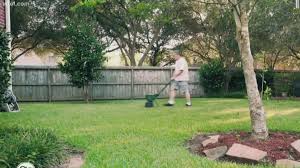 Here's how we advised one reader to turn over a new leaf this year by transforming last year's brown lawn into a verdant to avoid damaging your lawn, consider this rule of thumb: Why Fall Is The Best Time To Fertilize Your Lawn Wtol Com