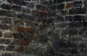 Bloom crawl space services is here to help. Chesapeake Va Crawl Space Encapsulation Virginia Encapsulation Company Hero Crawlspace Encapsulation