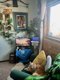 5 out of 5 stars. Got My Switch Area Botw Shrine Set Up Breath Of The Wild Zelda Diy Legend Of Zelda Memes Legend Of Zelda Breath