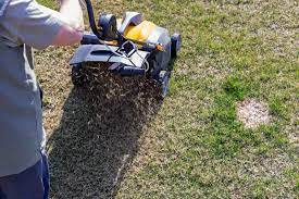 Lawn aeration is a critical maintenance activity for any yard. Aerate Your Lawn Starting At 29 Lawn Love