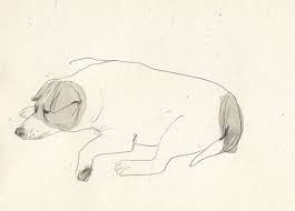 Morran Life Drawing Dog Drawing Canine Art