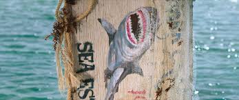The new cast consists of sophie nélisse, corinne foxx, brianne tju, sistine stallone, davi santos, khylin rhambo, brec bassinger, nia long and john corbett. 47 Meters Down 2017 Imdb