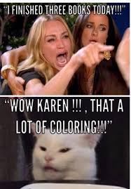 Pin By Margie Goodin On Cat Memes In 2020 Funny Cat Memes Stupid Funny Memes Funny Posters