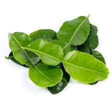 Daun limau purut tidak ubah seperti limau biasa.selain baunya yang menyegarkan, daun limau purut juga kaya dengan pelbagai khasiat. Daun Limau Purut 20g Mygroser