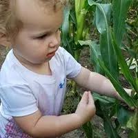 Peter Bonin, Platteville, Wis... Read Reviews