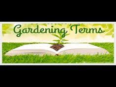 We did not find results for: Home Gardening