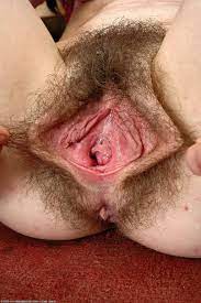 Vulve nest pas rasé - photos de filles porno
