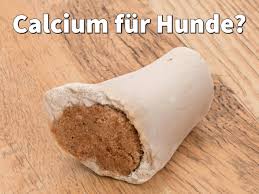 Calcium Fur Hunde Calciumbedarf Mit Tabletten Ausgleichen