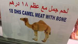 Price $164.05 per metric ton. Camel Meat For 18 Aed In Souq Al Jubail Market Sharjah Ù„Ø­Ù… Ø¬Ù…Ø§Ù„ Ø³ÙˆÙ‚ Ø§Ù„Ø¬Ø¨ÙŠÙ„ Ø§Ù„Ø´Ø§Ø±Ù‚Ø© Youtube
