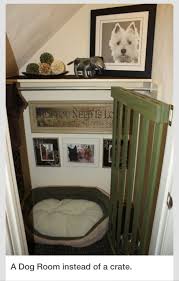 Turn A Closet Or Small Space Into A Dog Room Dog Rooms Home Home Decor