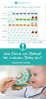 Wir geben euch tipps, wie ihr den richtigen zeitpunkt nach dem 4. Beikosteinfuhrung Beikost Baby Beikost Babynahrung