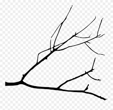 Following is a 'tree branch study' that shows drawing branches at different distances using techniques discussed above. Branch Drawing Simple Tree Branch Drawing Clipart 5351600 Pinclipart