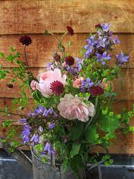 Seasonal British Grown Flowers British Grown Flowers Flowers Wholesale Plants