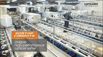 Visar Sorting Sàrl : Sortop Carrots - Carrots sorting line with 6 optical sorters 14 outputs