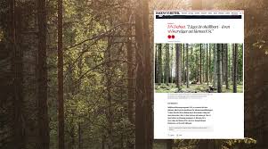 Image result for Motandra