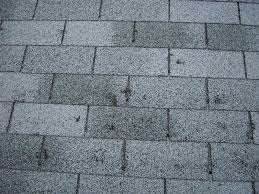 What does hail damage look like on a roof. My Roof Doesn T Leak So How Can I Have Roof Hail Damage Peak To Peak