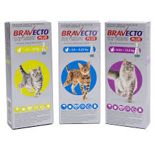 Strip off any bedding, sofa covers, and other fabrics your pet has touched and throw them straight into the. Bravecto Plus Spot On For Cats Petshopplus