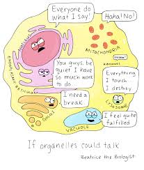 Maybe you would like to learn more about one of these? If Organelles Could Talk Biology Classroom Biology Jokes Science Jokes