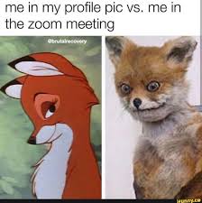 20 relatable zoom meetings memes. Me In My Profile Pic Vs Me In The Zoom Meeting Ifunny