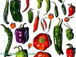 How to grow bell peppers from seed. How To Grow Chili Peppers From Seeds At Home