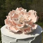 Find great offers on flowers wholesale! 18 90