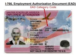Approximately 65,000 of them serv. Uscis Employment Authorization Card Ead Category Codes Usa