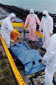 Apr 08, 2021 · 10則幽默小笑話，不開心時看一看。. å¿«è¨Š é€£æ±Ÿç¸£æ¼‚æµæ­»è±¬æª¢å‡ºéžæ´²è±¬ç˜Ÿç—…æ¯' è¯è¦–æ–°èžç¶²