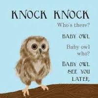 A simple to understand starting point for kids that are getting started and learning this format of joke. Knock Knock Animal Jokes In English Knock Knock Jokes