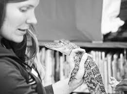 A section TEMPLATE w/ masters