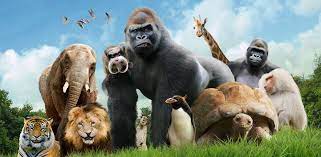 Rogi lupul sa te ia puţin în carca şi cand colo te mananca. Compunere La GrÄƒdina ZoologicÄƒ Colectionara De Carti