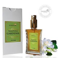 Pin On Parfums