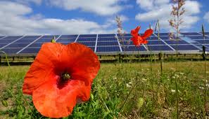 Maybe you would like to learn more about one of these? The Two Faces Of Tamil Nadu S Power India Climate Dialogue