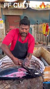 你知道这是什么鱼吗？ 大胡子哥是如何快速分切鱼的？（30）_虎牙直播_huya