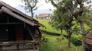 If your main purpose for volcanoes, this itinerary is fine but if you want to go shopping, i believe that you won't. Best Price On Villa Di Kebun Teh 1 Argapuri Resort Di Jungle In Bandung Reviews