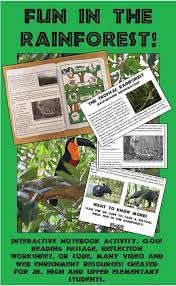 Science Interactive Notebook Rainforest Biome Adaptation Close Reading Qr Code Interactive Science Notebook Interactive Notebook Activities Secondary Science Lessons
