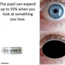 We did not find results for: Ed Memes Stuff Yo