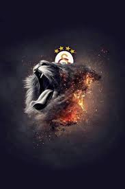 * by clicking the 'download' button, you can save the. Galatasaray Wallpaper Download To Your Mobile From Phoneky