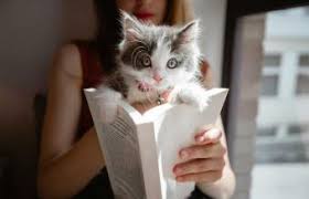 Check out the ranking, inspired by pop culture, sports, tv and more. 101 Famous Cat Names In Literature Lovetoknow