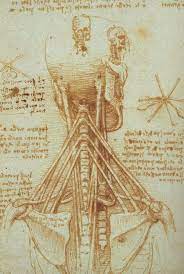 Leonardo Da Vinci - Der Wissenschaftler — Steemit