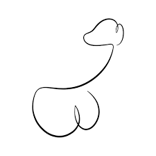 Penis line art
