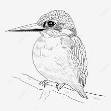 Your web or native apps on ios and android just work. Ø®Ø· Ø±Ø³Ù… Ù…Ø±Ø³ÙˆÙ…Ø© Ø¨Ø§Ù„ÙŠØ¯ Ø·Ø§Ø¦Ø± Ø¹ØµÙÙˆØ± Ø·Ø§Ø¦Ø± Ø§Ù„Ø¹Ù‚Ø¹Ù‚ Ø¨Ø¶Ø±Ø¨Ø§Øª Ø¨Ø³ÙŠØ·Ø© Ù…Ø±Ø³ÙˆÙ…Ø© Ø¨Ø§Ù„ÙŠØ¯ Ø®Ø· Ø§Ù„Ø±Ø³Ù… Ø®Ø· Png ÙˆÙ…Ù„Ù Psd Ù„Ù„ØªØ­Ù…ÙŠÙ„ Ù…Ø¬Ø§Ù†Ø§