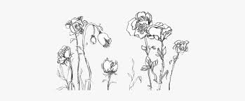 Drawn Tulip Aesthetic Aesthetic Flower Drawing Transparent Free Transparent Clipart Clipartkey Aesthetic and minimal floral illustrations ━━━━━━━━━━━ you will receive: aesthetic flower drawing transparent