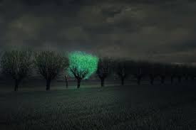 glow in the dark trees could replace our street lights dark tree street light fantasy setting inspiration