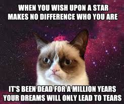 Wish Upon A Star Lolsnaps Grumpy Cat Humor Funny Grumpy Cat Memes Grumpy Cat Quotes