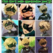 Chat Noir S Smile Appreciation Post Miraculous Ladybug Lady Bug Cat Noir Miraculous Ladybug And Cat Noir