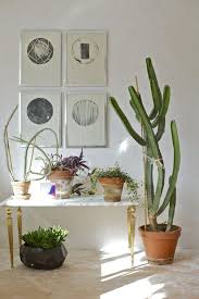 Las plantas siempre contribuyen a dotar de un halo especial a aquellas estancias en las que se coloquen. Decorar Con Cactus Susana Morte Decoracion
