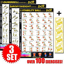 Eazy How To Multi Pack Workout Exercise Banner Poster Train Endurance Tone Build Strength Muscle Big Home Gym Chart 28 X 20